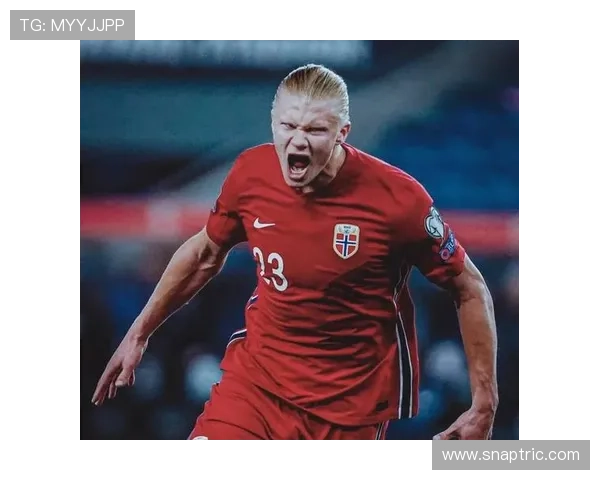 哈兰德挪威黄金一代