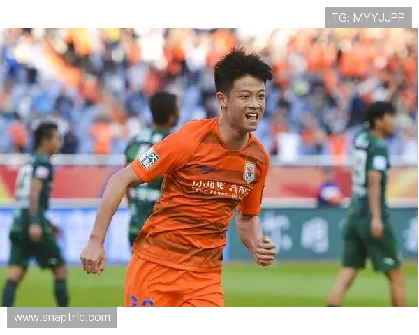 山东泰山豪门地位：当前阶段稳定性面临考验，对竞争格局带来变化