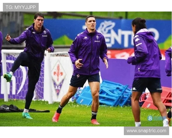 弗拉霍维奇生涯数据与团队成绩解析