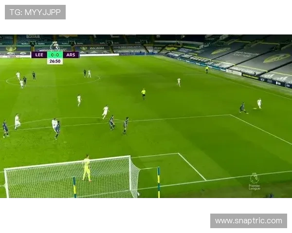 拉菲尼亚与萨卡：核心地位及体系角色对比分析