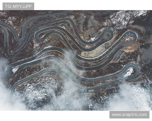 全面解析篮球技术犯规处罚规则中的判罚依据与执行标准